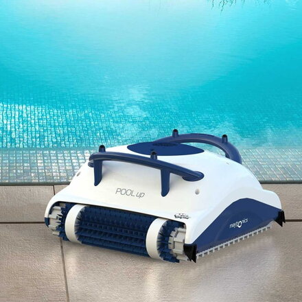 Dolphin Pool Up